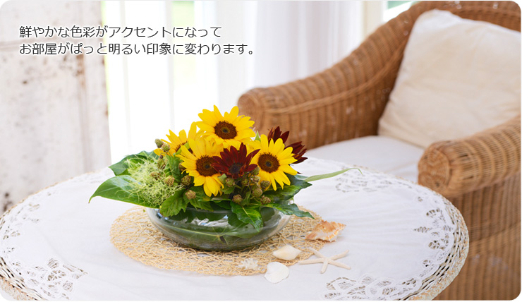 鮮やかな色彩がアクセントになってお部屋がぱっと明るい印象に変わります