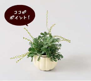 作り方