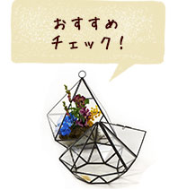 おすすめチェック