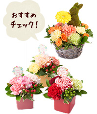 おすすめチェック