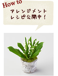 アレンジメントレシピ公開中！