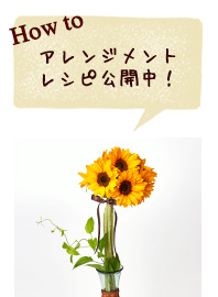 アレンジメントレシピ公開中！