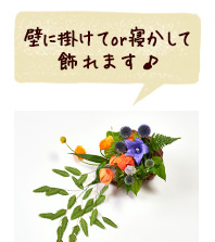 壁に掛けてor寝かして
