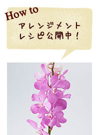 アレンジメントレシピ公開中！
