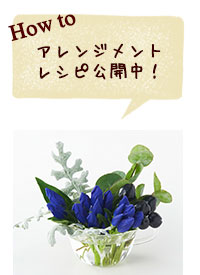 アレンジメントレシピ公開中！
