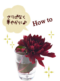 アレンジメントレシピ公開中！