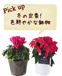 お花を眺めながら、ロマンティックに過ごす記念日