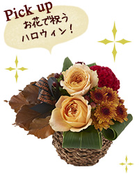 Pick up お花で祝う！