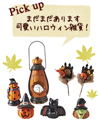Pick up 観賞用トウガラシコニカル！