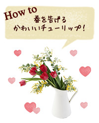 How to 春を告げるかわいいチューリップ！