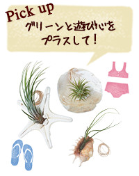 Pick Up グリーンと遊び心をプラスして!