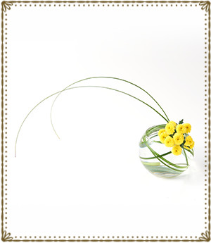 秋の花　菊を楽しむ